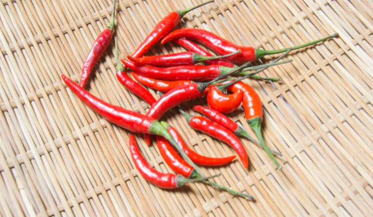 Giá ớt hôm nay 26/04/2024: Vẫn được giữ nguyên