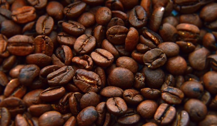 Giá cà phê hôm nay ngày 26/04/2024: Tăng 2.000đ so với hôm qua