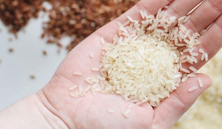 Giá lúa gạo hôm nay 27/4/2024: Không có thay đổi mới nào