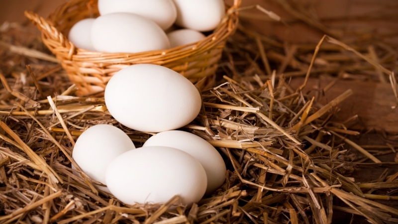Giá trứng gà hôm nay ngày 29/04 Giá trứng gà hôm nay ngày 29/04