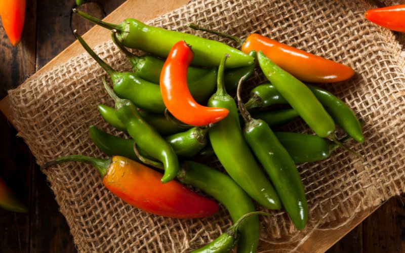 Giá ớt hôm nay 04/05/2024 cập nhật mới nhất