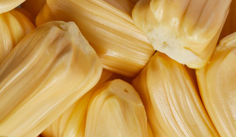 Giá mít Thái hôm nay 04/5/2024: Không thay đổi