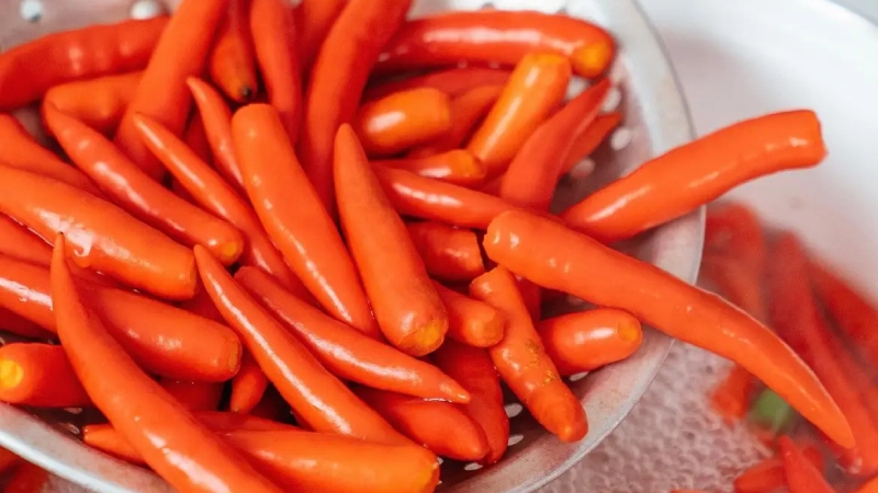 Giá ớt hôm nay 06/05/2024