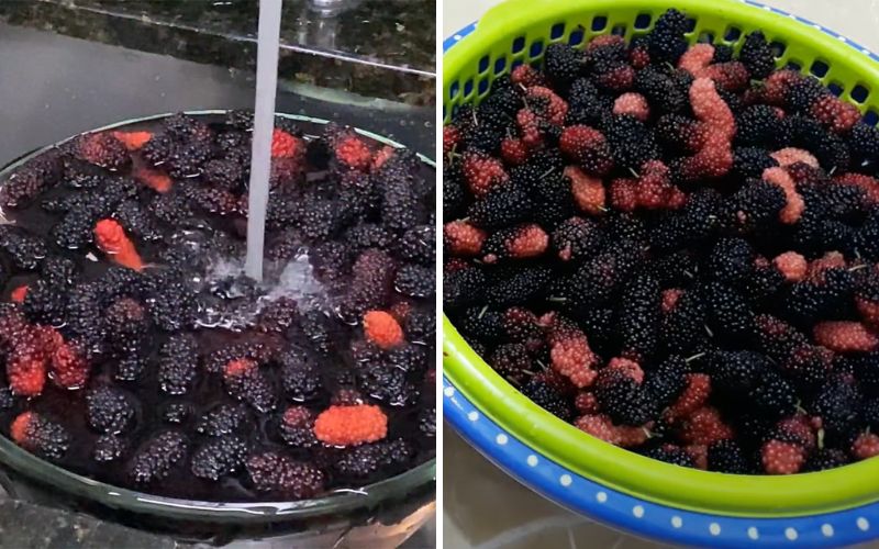 Preparing mulberries