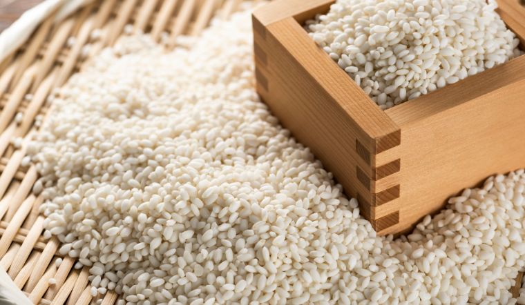 Giá lúa gạo hôm nay 06/5/2024: Lúa Đài thơm 8 giảm 200 đồng/kg