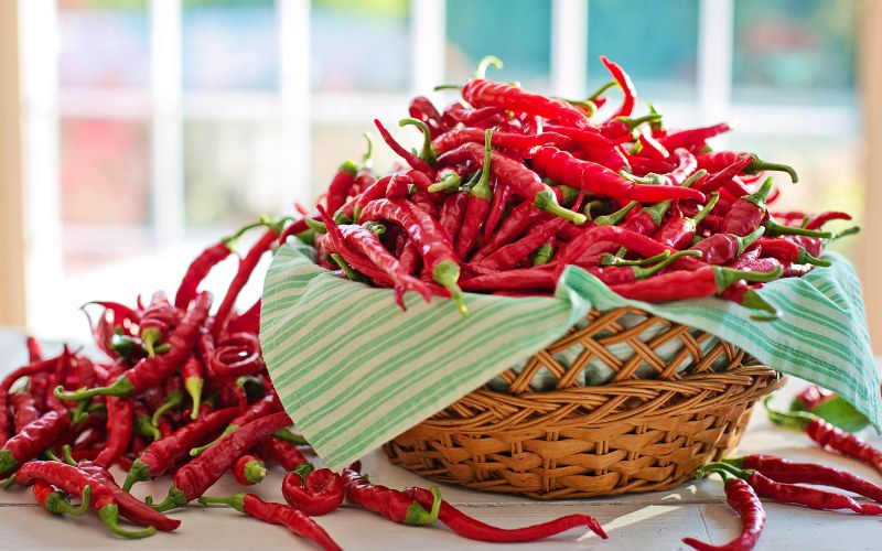 Giá ớt hôm nay 07/05/2024 mới nhất Giá ớt hôm nay 07/05/2024 mới nhất