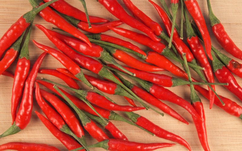 Giá ớt hôm nay 07/05/2024 cập nhật mới nhất Giá ớt hôm nay 07/05/2024 cập nhật mới nhất