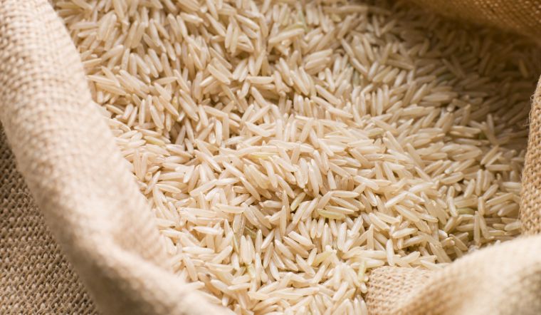 Giá lúa gạo hôm nay 08/5/2024: Tiếp tục giữ nguyên giá