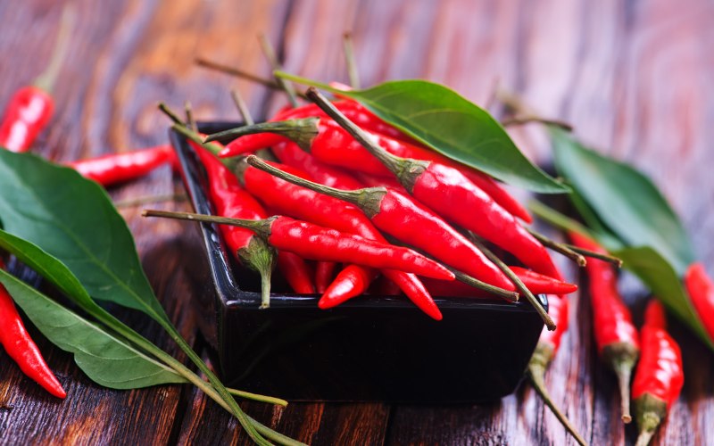 Giá ớt hôm nay 10/05/2024 mới nhất Giá ớt hôm nay 10/05/2024 mới nhất