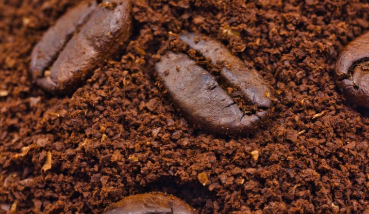 Giá cà phê hôm nay 10/05/2024: Tăng 1.000 đồng/kg