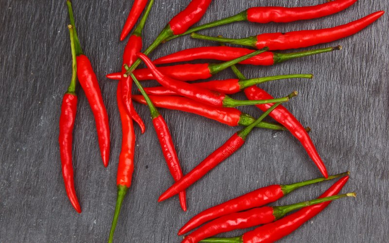 Giá ớt hôm nay 11/05/2024 mới nhất Giá ớt hôm nay 11/05/2024 mới nhất