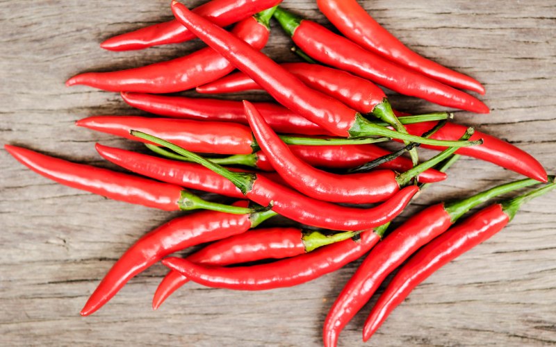 Giá ớt hôm nay 11/05/2024 Giá ớt hôm nay 11/05/2024