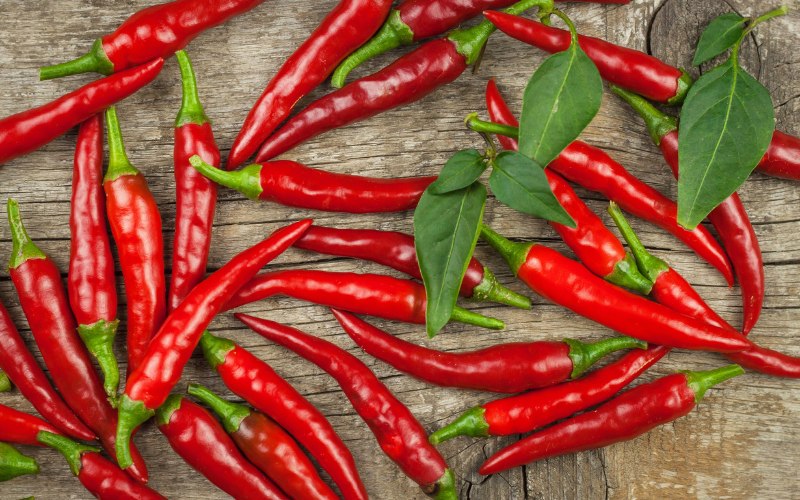 Giá ớt hôm nay 11/05/2024 cập nhật mới nhất Giá ớt hôm nay 11/05/2024 cập nhật mới nhất