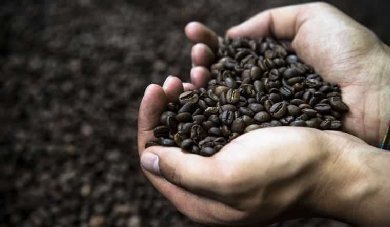Giá cà phê hôm nay 11/05/2024: Tăng tiếp 500 đồng/kg