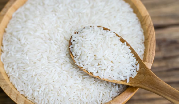 Giá lúa gạo hôm nay 13/5/2024: Lúa OM 380 giảm 100 đồng/kg