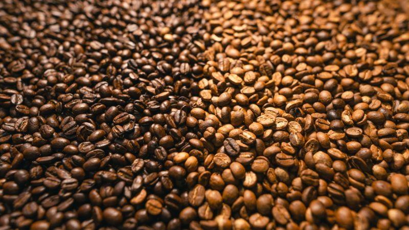 Giá cà phê trong nước hôm nay Giá cà phê trong nước hôm nay