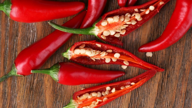 Giá ớt hôm nay 16/05/2024 mới nhất Giá ớt hôm nay 16/05/2024 mới nhất