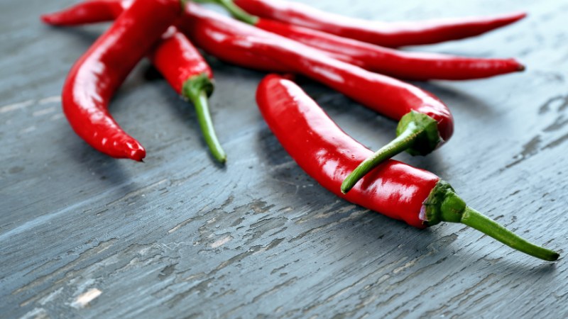 Giá ớt hôm nay 16/05/2024 Giá ớt hôm nay 16/05/2024