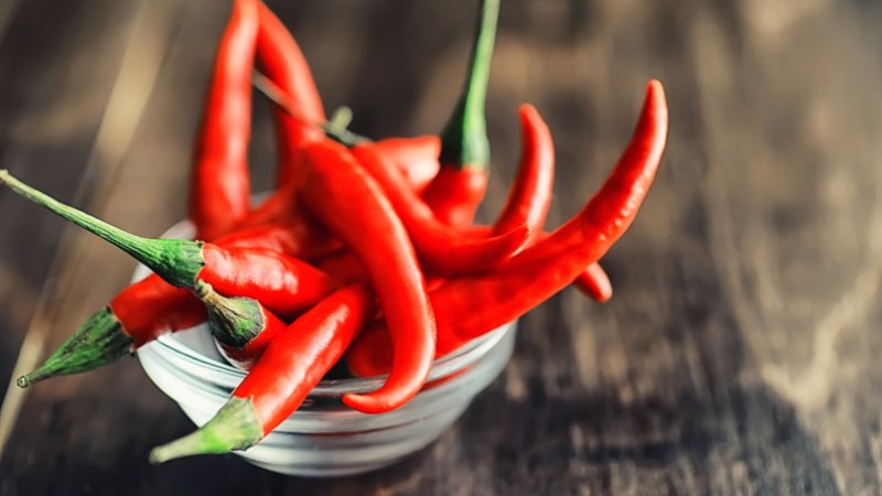 Giá ớt hôm nay 16/05/2024 cập nhật mới nhất Giá ớt hôm nay 16/05/2024 cập nhật mới nhất