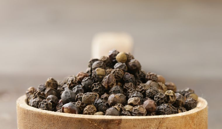 Giá tiêu hôm nay 16/05/2024: Tăng từ 500 - 1.000 đồng/kg