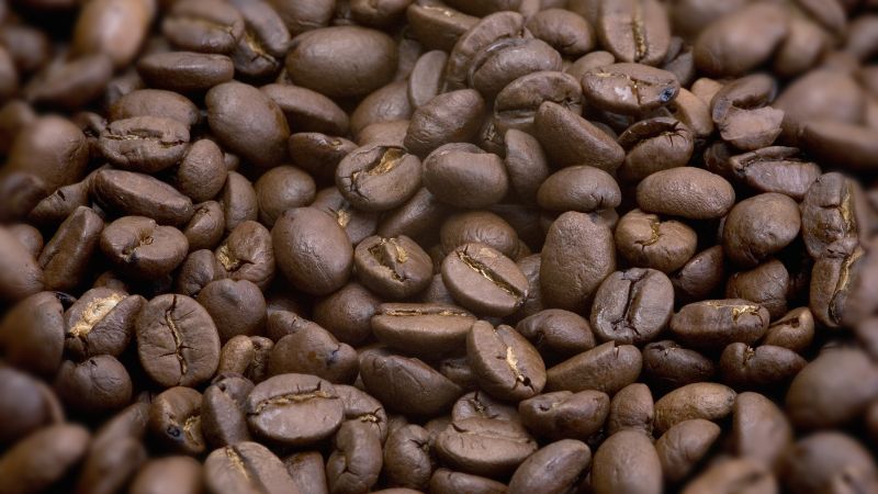 Giá cà phê trong nước hôm nay