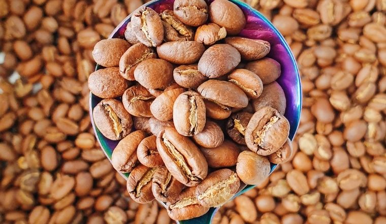 Giá cà phê hôm nay 16/05/2024: Giảm 500 đồng/kg trong phiên sáng nay