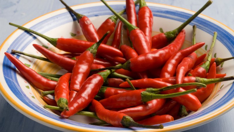 Giá ớt hôm nay 18/05/2024