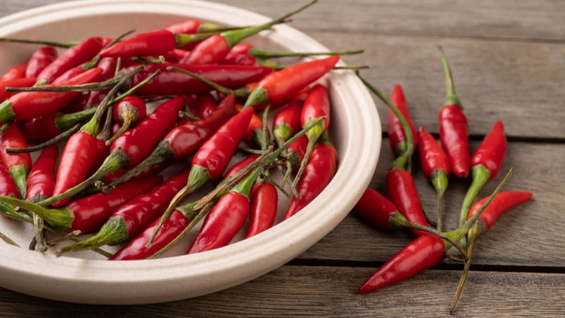 Giá ớt hôm nay 18/05/2024 cập nhật mới nhất