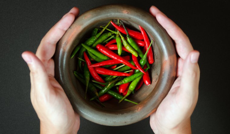 Giá ớt hôm nay 18/05/2024: Ớt chợ giảm 2.000 đồng/kg