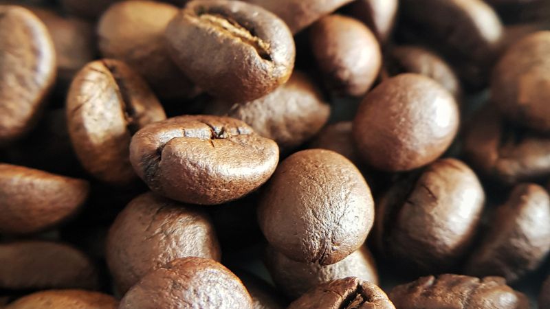 Giá cà phê trong nước hôm nay