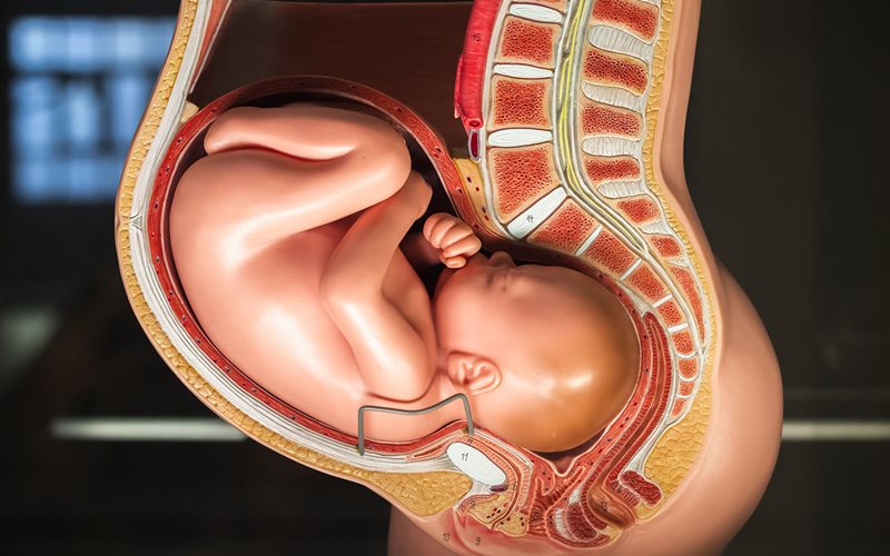 Phụ nữ mang thai ngôi đầu sinh bằng phương pháp nào?