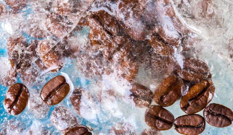 Giá cà phê hôm nay 20/05/2024: Tiếp đà tăng trở lại