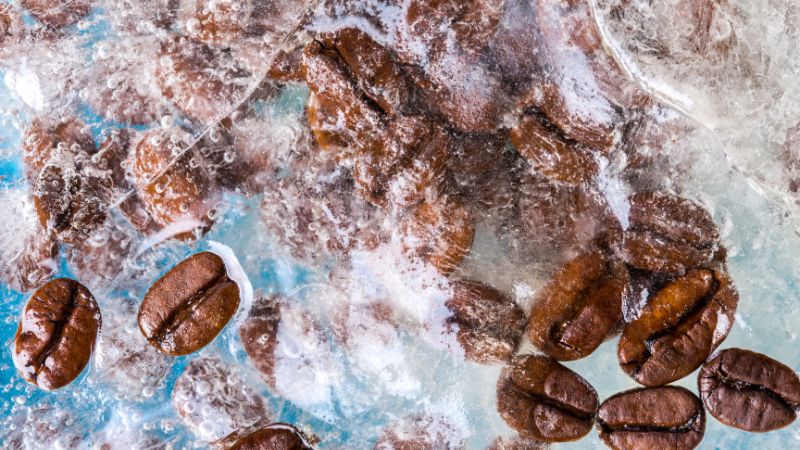 Giá cà phê trong nước hôm nay