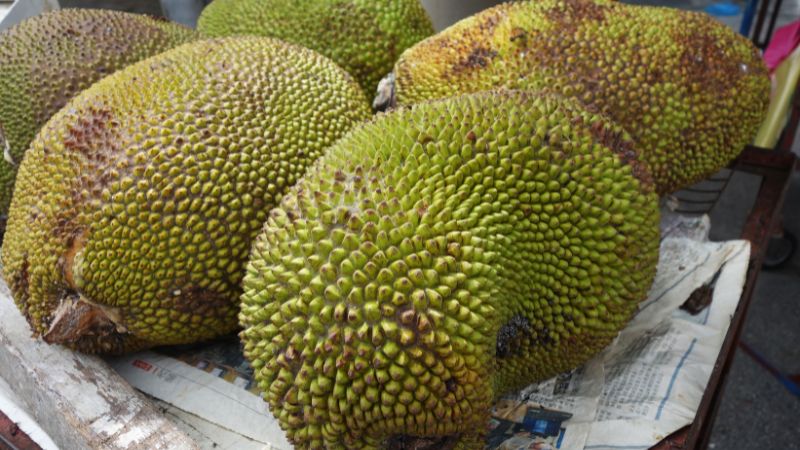 Cách tốt nhất trị xì mủ mít Thái