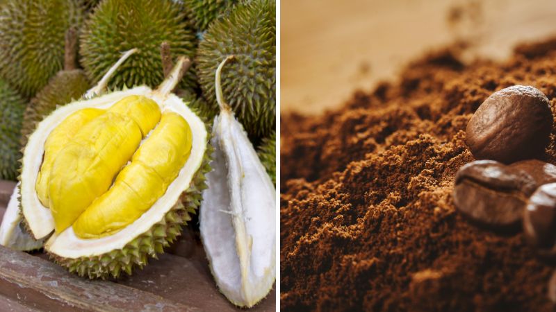 Close-up of durian arils and coffee beans.
