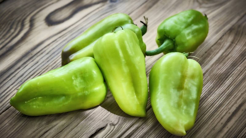 Giá ớt hôm nay 22/05/2024 mới nhất Giá ớt hôm nay 22/05/2024 mới nhất