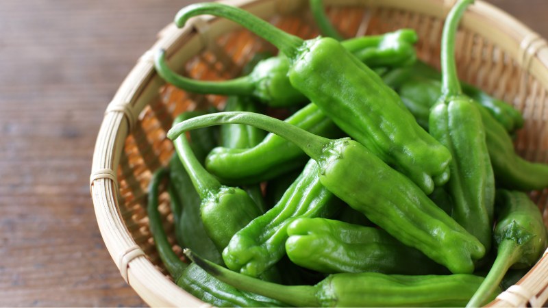 Giá ớt hôm nay 22/05/2024 cập nhật mới nhất Giá ớt hôm nay 22/05/2024 cập nhật mới nhất