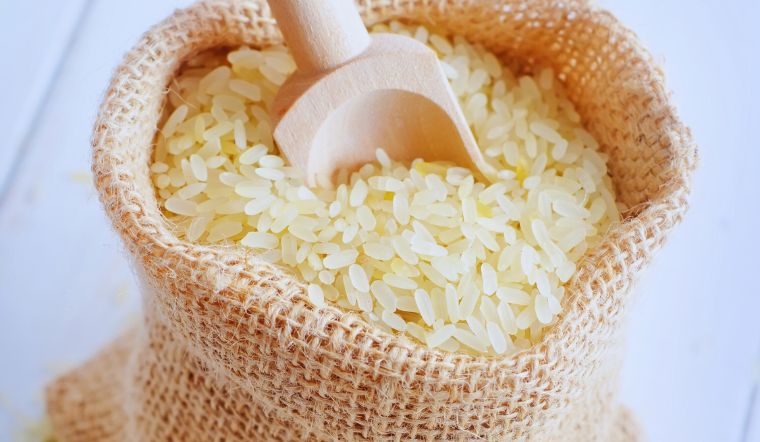 Giá lúa gạo hôm nay 22/5/2024: Tiếp tục ổn định