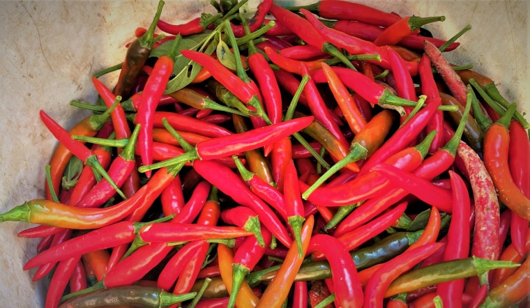 Giá ớt hôm nay 23/05/2024: Tiếp tục chững giá