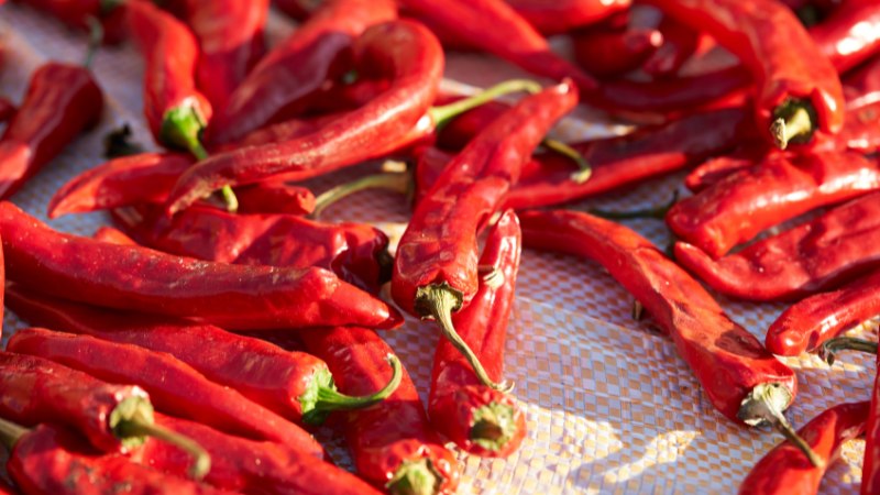 Giá ớt hôm nay 25/05/2024