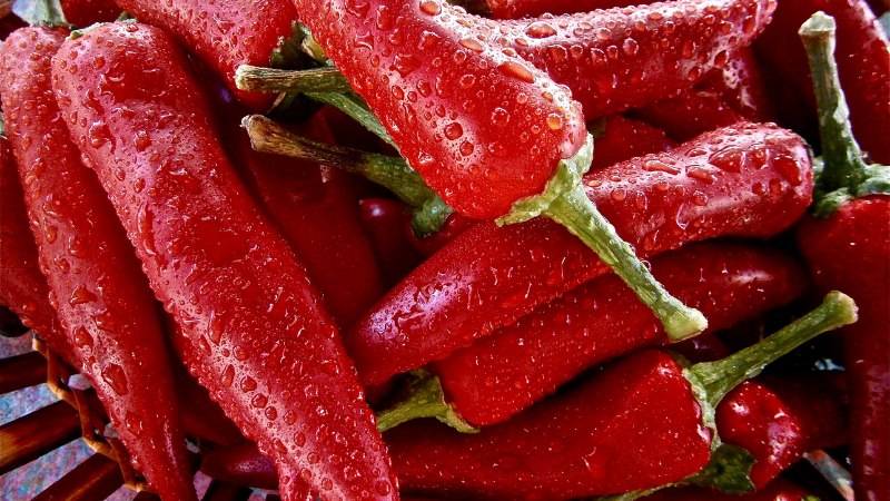 Giá ớt hôm nay 25/05/2024 cập nhật mới nhất