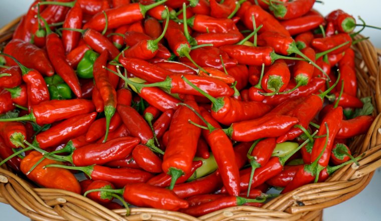 Giá ớt hôm nay 25/05/2024: Cuối tuần không đổi