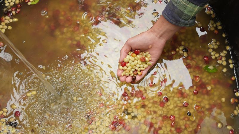 Giá cà phê Arabica giao dịch tại New York