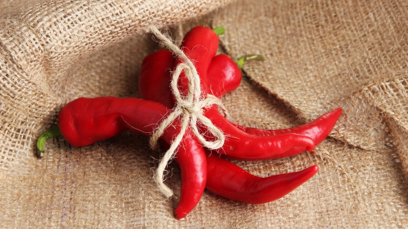 Giá ớt hôm nay 28/05/2024 cập nhật mới nhất Giá ớt hôm nay 28/05/2024 cập nhật mới nhất