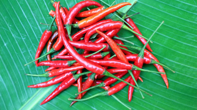 Giá ớt hôm nay 29/05/2024 cập nhật mới nhất Giá ớt hôm nay 29/05/2024 cập nhật mới nhất