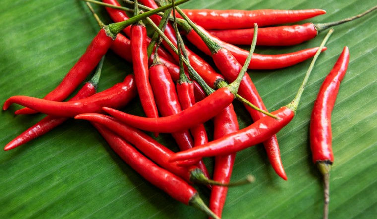 Giá ớt hôm nay 29/05/2024: Tạm thời chững giá