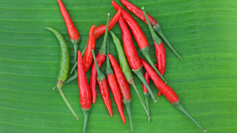 Giá ớt hôm nay 30/05/2024