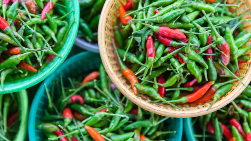 Giá ớt hôm nay 31/05/2024 mới nhất Giá ớt hôm nay 31/05/2024 mới nhất