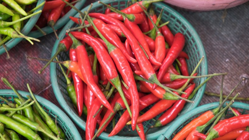 Giá ớt hôm nay 31/05/2024 Giá ớt hôm nay 31/05/2024