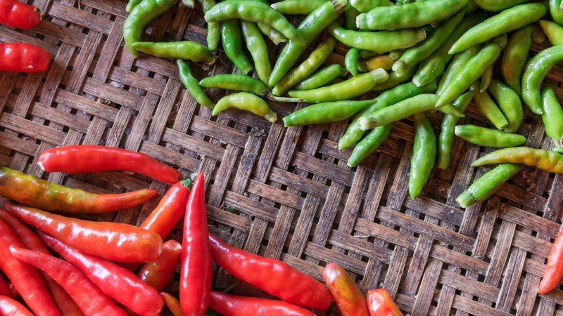 Giá ớt hôm nay 31/05/2024 cập nhật mới nhất Giá ớt hôm nay 31/05/2024 cập nhật mới nhất